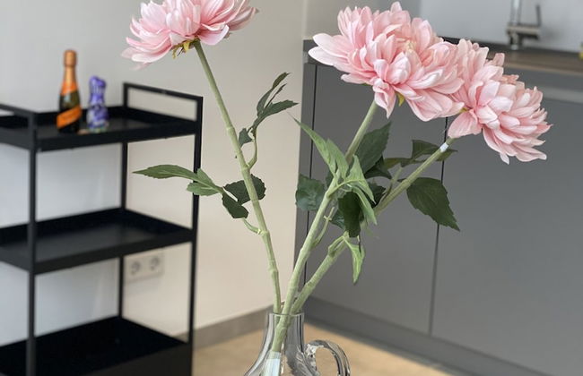 Spanien Flair mitten in Köln - Foto 76