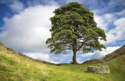 2 Bed in Hexham oc-88032 - Foto 21