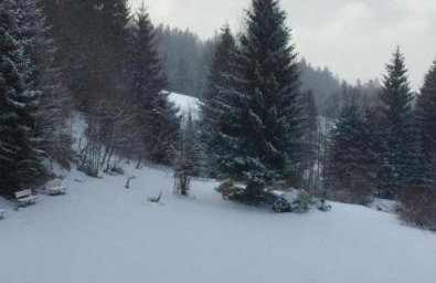 Apartmán Frauenberg - Haidmühle - Foto 22