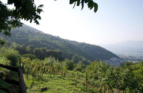 Fattoria Alvaneta - Foto 60