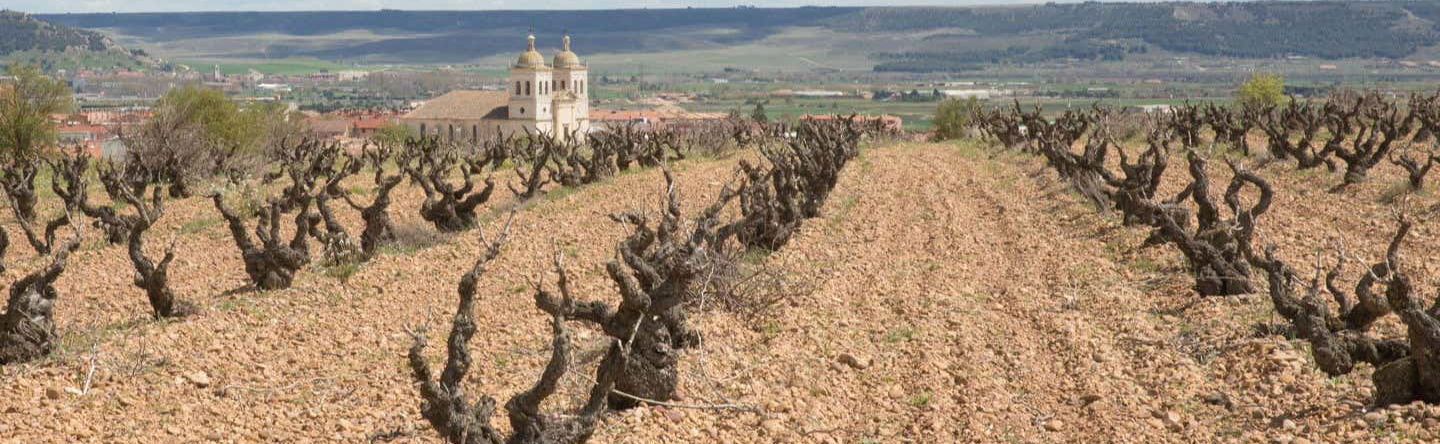 Visita privada a las bodegas Museum - Foto 1