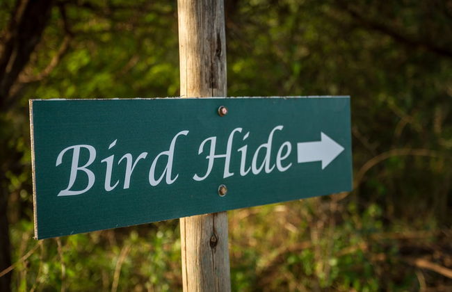 The Dreamcatcher Lodge - Photo 28