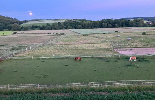 Mellys Café & Store - Foto 17