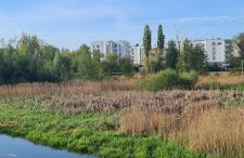 Mieszkanie nad Iławką - 2 pokoje, kuchnia, łazienka, balkon, parking, wi-fi - Foto 1