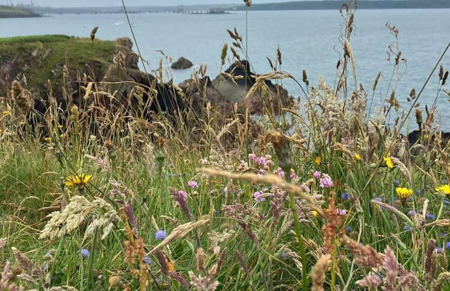 Farmhouse Annex in Saint Ishmael s - Foto 14