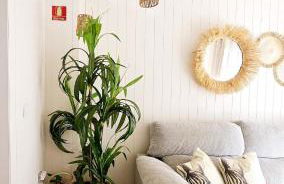 Coqueto apartamento en la playa - Foto 22