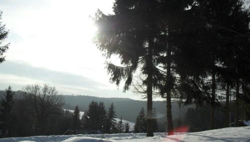 Eifelcottage - Photo 5