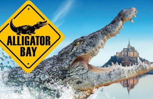 La baie du Mont Appartement de vacances proche du Mont Saint Michel - Foto 46