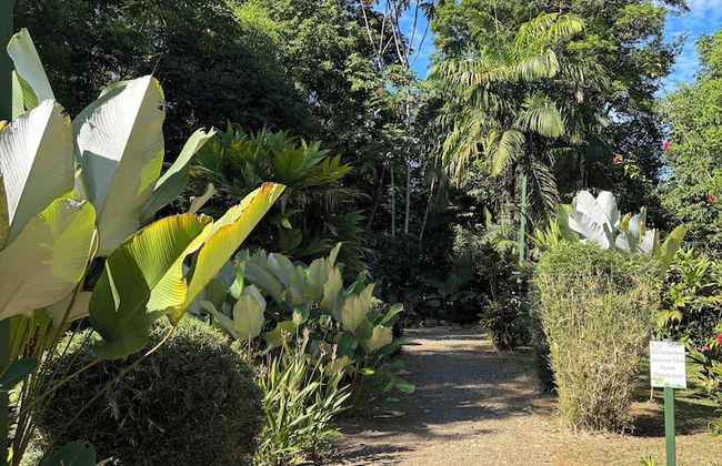 Citronela Lodge Corcovado - Foto 23