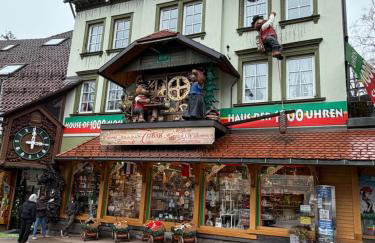 Ferienwohnung Paradiso,78141Schönwald,Schwarzwald,1100mÜM Taunusstrasse 19f, mit Pool und Sauna - Foto 43