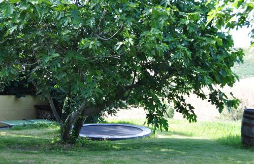 Amazing Apartment in Belvedere Ostrense With Garden - Foto 8