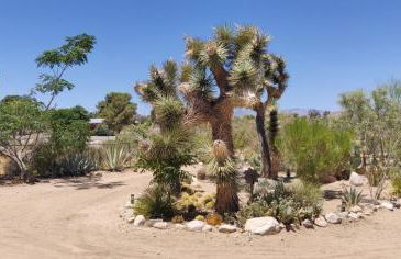 Joshua Tree Bugalow - Downtown - Foto 11