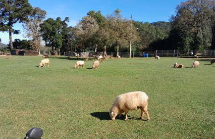 Quinta da Boa Vista São Chico - Foto 69