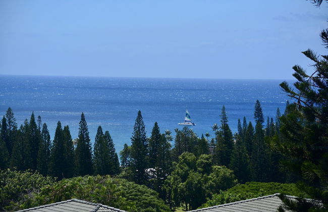 Kapalua Golf Villa 25v2 Gold Ocean View - Foto 14