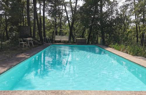 House surrounded by nature - Photo 11