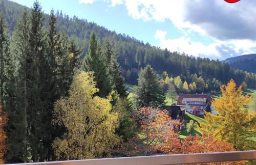 Ferienwohnung Tannenballett im Schwarzwald - Foto 18