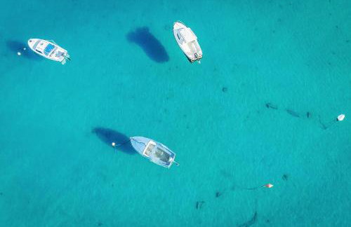 Design Villa Noble with Spa - Photo 45