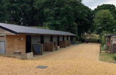 Oak ridge cabin - Foto 19