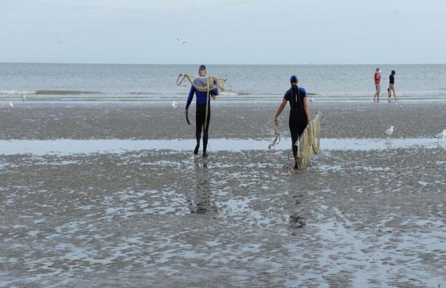 Apartment in Koksijde Near the Beach - Photo 42
