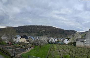 Ferienwohnung '' Wein unter Palmen '' - Foto 23