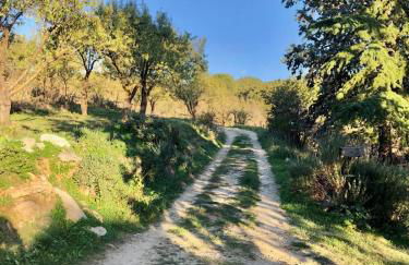 Villa Pietralunga in the woods - Foto 16