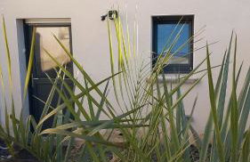 L'Oasis - Foto 12