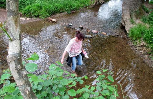 Haus mit Seele im Nahetal - Foto 42