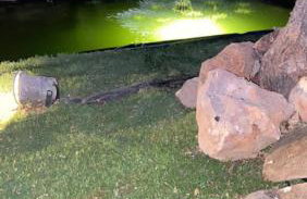 Περιβόλι του Οδυσσέα - Foto 6