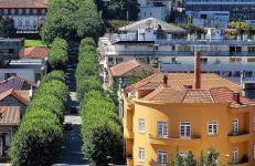 FERREIRA'S HOUSE Guimarães - Foto 29