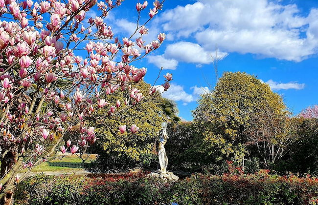 Villa Serena Agriturismo - Photo 38