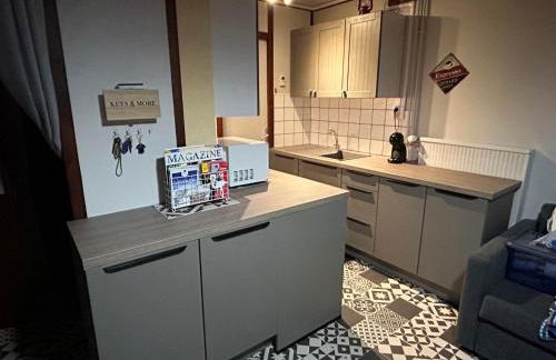 Studio 4 pers plein pied résidence Bero Bisto, face aux pistes - Foto 7