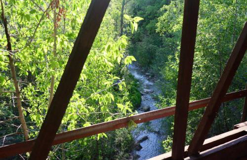 25-Bed, Amenity-Rich Estate in a Private Forest - Foto 75