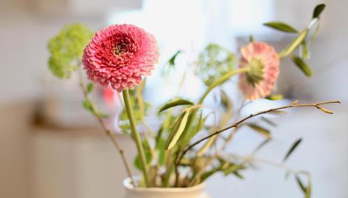 Bauernhof Wulff - Fewo "Amrum" - Foto 4