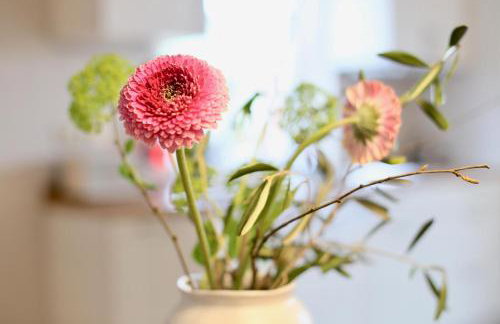 Bauernhof Wulff - Fewo "Amrum" - Foto 4