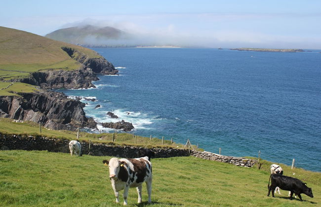 An Searrach Dingle - Foto 16