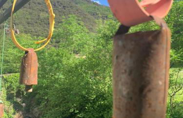 Grande maison cévenole authentique - Foto 39