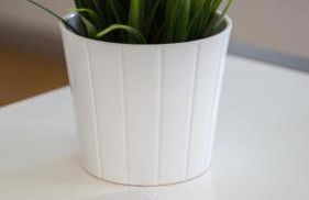 Relax e natura vicino a Trento - Foto 3