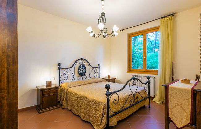 Rosa+Margherita+Lavanda+Ginestra+Gelsomi - Foto 15