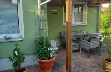 Töpferblick - Foto 5