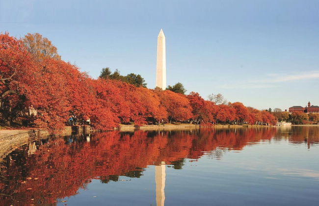 ARC HOTEL Washington DC, Georgetown - Photo 60