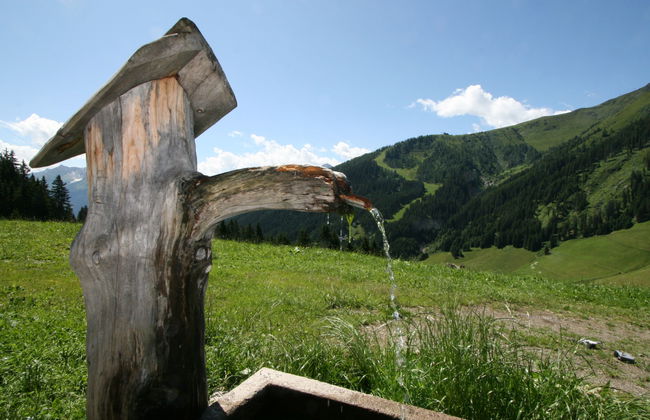 Simonhütte - Foto 24