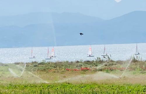 Boho Nomad Seaview Detached House - Foto 58