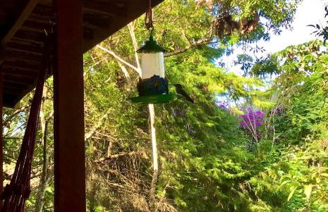 Chalé nas Árvores - Foto 51