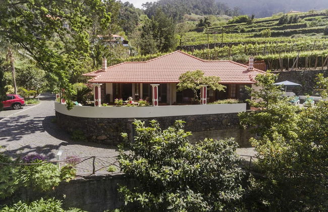 In Laurissilva Forest, Casa do Lanço -carvalho - Foto 54