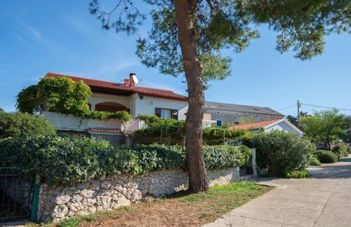 Apartments with parking space Molat - 6249 - Photo 1