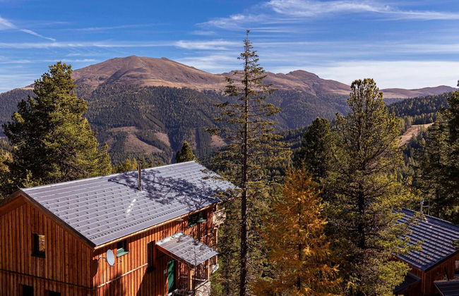 Chalet in Alps Near Ski Slopes With Jacuzzi - Photo 21