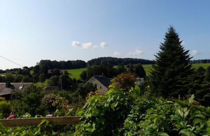 Falkenstein - Foto 9