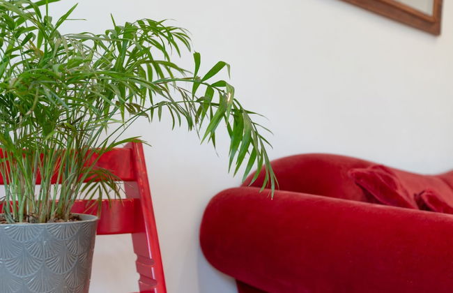 Axarqu a in Malaga With 2 Bedrooms and 1 Bathrooms - Foto 12