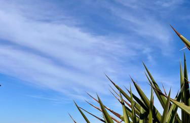 Apartamentos Flores playa - Foto 22