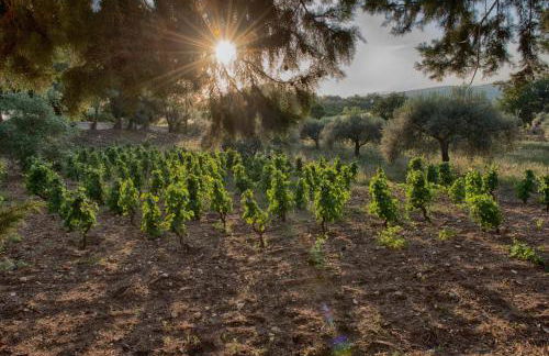 Villa Santa Margherita - Foto 66